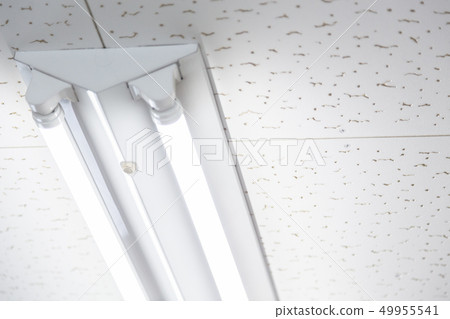 Fluorescent lamp Fluorescent lamp 49955541
