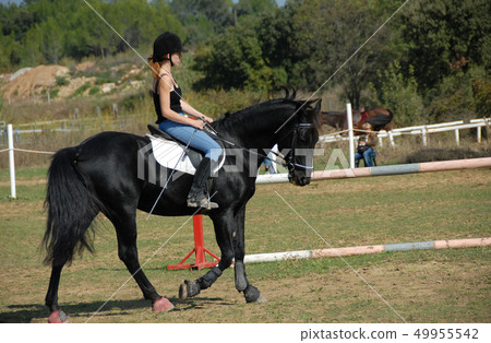 riding young woman riding young woman 49955542