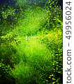 Water mirror in the water tank 49956024