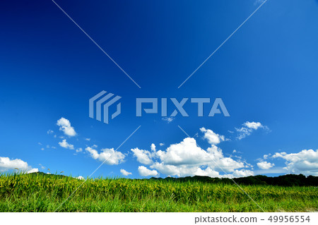 明日香村，藍天 49956554