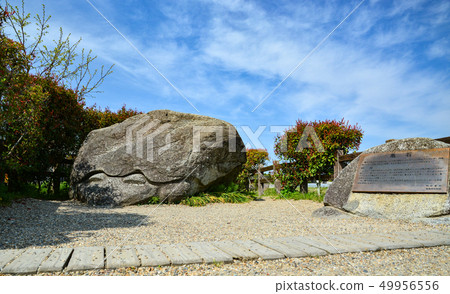 明日香村·龜梅 49956556