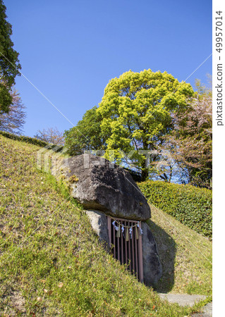 大分市小宮Kofun 49957014