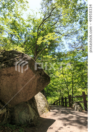 Shosenkyo（初夏） 49958334