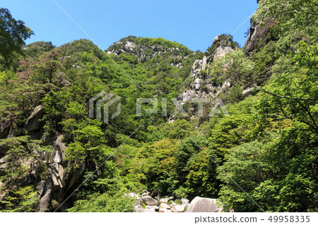 Shosenkyo（初夏） 49958335