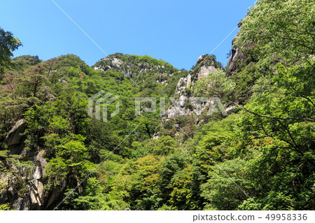 Shosenkyo（初夏） 49958336