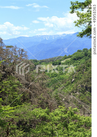 Shosenkyo (early summer) 49958363