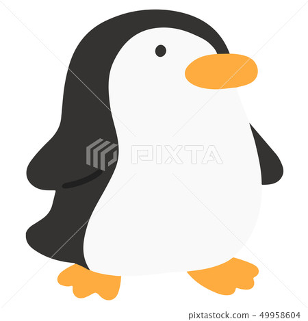 No Penguin Outline Stock Illustration 49958604 Pixta - 