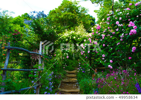 Garden House 49958634