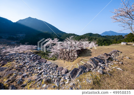Akagi Castle Ruins of Spring Akagi Castle Ruins of Spring 49958835