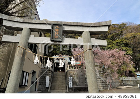 Negishi八幡神社 49959061