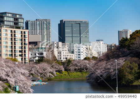 Chidoriguchi 49959440