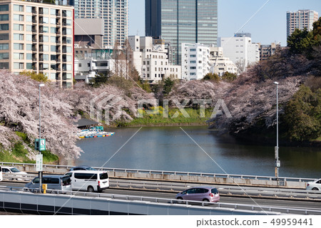 Chidoriguchi 49959441