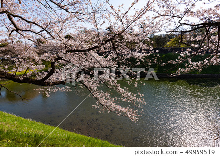 Hanzono風景 Hanzono風景 49959519