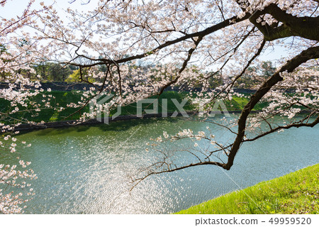 Hanzono風景 Hanzono風景 49959520