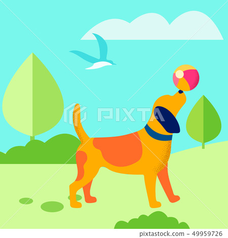 Puppy Playing Ball Outdoors Flat Illustration Puppy Playing Ball Outdoors Flat Illustration 49959726