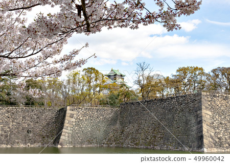 Hanami in Osaka Castle Park 49960042