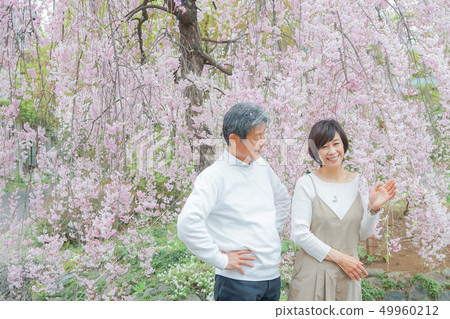 已婚夫婦旅行 - 埼玉秩父哭泣的櫻桃 49960212