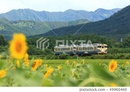 Gonosen line Kiha 40 high-speed train to go to Kouhan field near Sawome station Gonosen line Kiha 40 high-speed train to go to Kouhan field near Sawome station 49960460