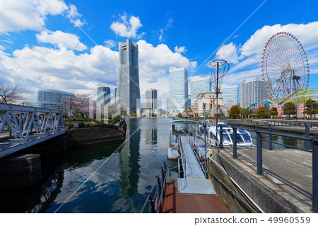 Yokohama Minato Mirai and cherry blossoms in full bloom Yokohama Minato Mirai and cherry blossoms in full bloom 49960559