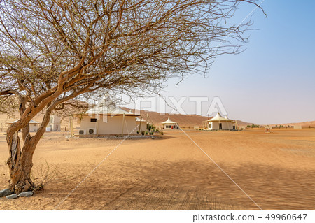 Wahhiba沙漠（阿曼，Wajiva Sands） 49960647