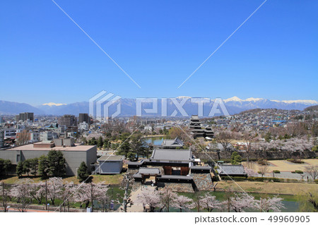 國寶松本城和春季北阿爾卑斯山 49960905
