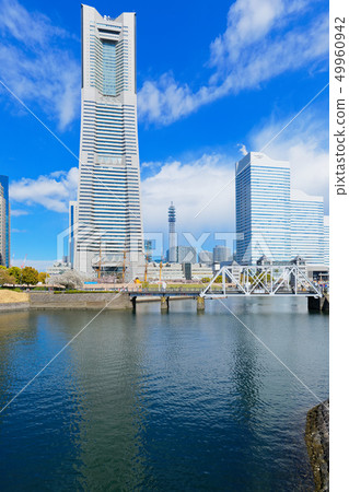 Yokohama Minato Mirai and cherry blossoms landmark tower in full bloom 49960942