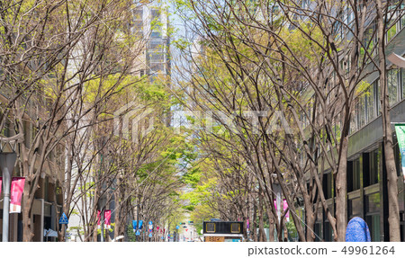 丸之內Nakadori，新鮮的綠色東京度假 49961264