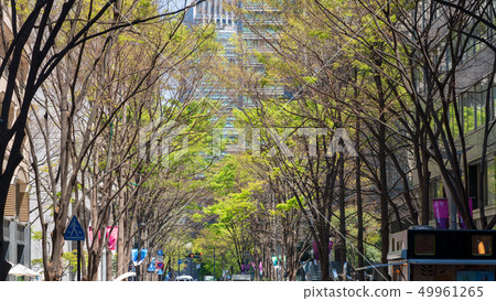 丸之內Nakadori，新鮮的綠色東京度假 49961265