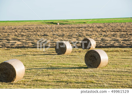 Pasture grass roll and blue sky Hokkaido 49961529