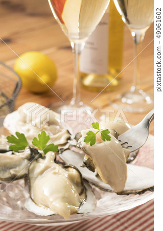 Oyster Oyster 49961602