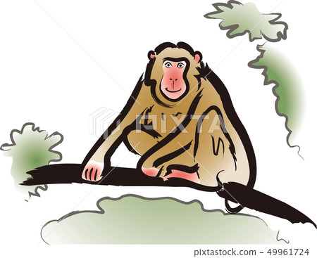 A monkey A monkey 49961724