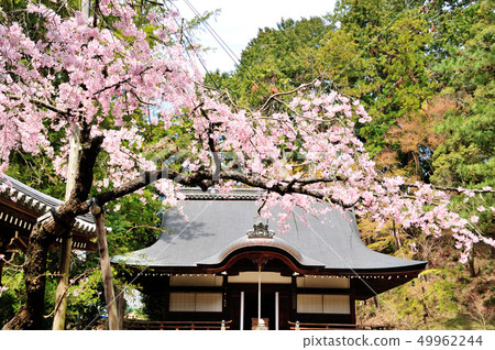 Hirokawa Temple的Sidare Zakra 49962244