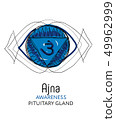 Chakra Ajna, pituitary gland, Ayurveda 49962999
