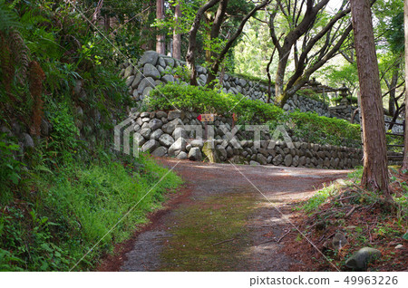 Ishigaki of Okochi Castle Ishigaki of Okochi Castle 49963226
