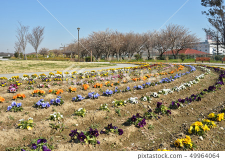 Gongendo Walk: Gongendo Park Gongendo Walk: Gongendo Park 49964064