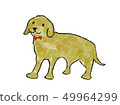 狗 49964299