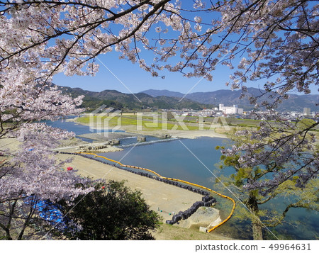 從Oiso城堡看到的Ayukawa在春天 從Oiso城堡看到的Ayukawa在春天 49964631