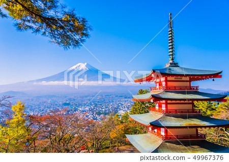 Beautiful landscape of mountain fuji with chureito pagoda around maple leaf tree in autumn season 49967376