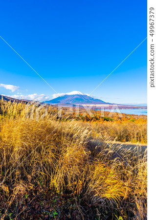 Beautiful fuji mountain in yamanakako or yamanaka lake Beautiful fuji mountain in yamanakako or yamanaka lake 49967379
