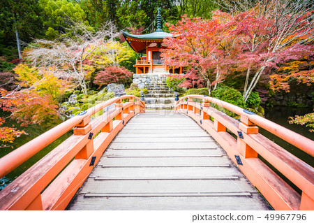 Beautiful Daigoji temple with colorful tree and leaf in autumn season Beautiful Daigoji temple with colorful tree and leaf in autumn season 49967796