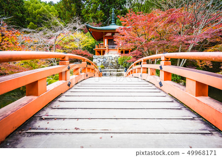 Beautiful Daigoji temple with colorful tree and leaf in autumn season 49968171