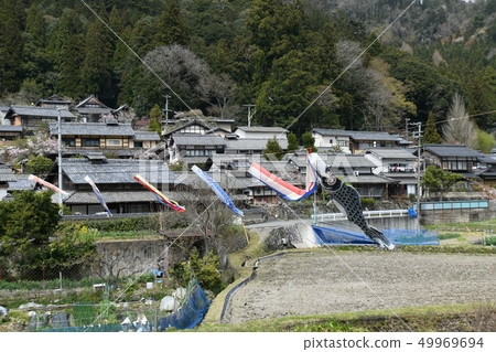 Carp streamer 49969694