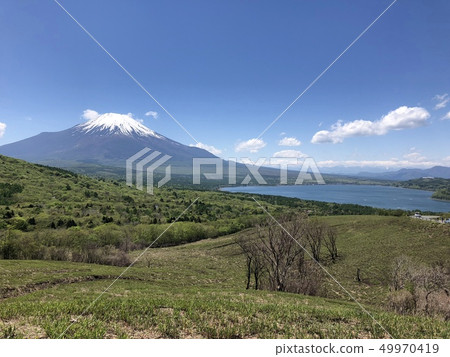 Mount Fuji  49970419