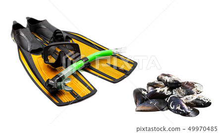 Diving equipment and shells of mussels 49970485