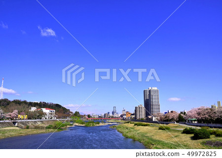 Looking upstream from near Hirose Bridge in Sendai City Looking upstream from near Hirose Bridge in Sendai City 49972825