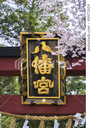 Osaki Hachimangu North approach road 004 Osaki Hachimangu North approach road 004 49972924