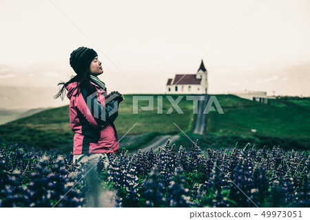 Traveler in Iceland. Church and Lupine Flowers. Traveler in Iceland. Church and Lupine Flowers. 49973051
