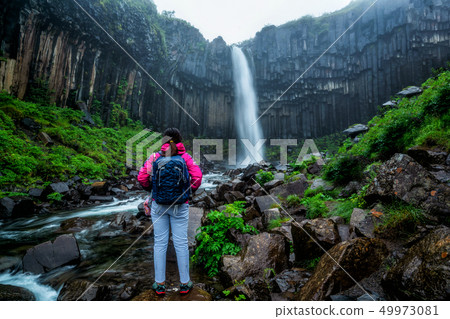 Svartifoss waterfall in Vatnajokull, Iceland. 49973081