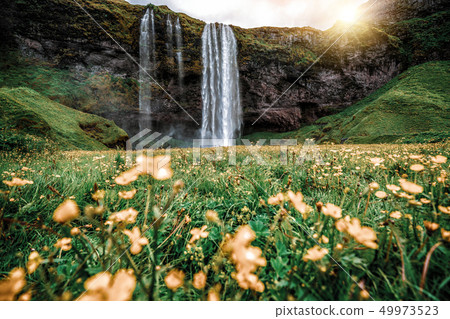 Magical Seljalandsfoss Waterfall in Iceland. 49973523