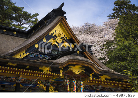 Osaki Hachiman Shrine Honden 002 Osaki Hachiman Shrine Honden 002 49973659